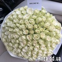 101 біла троянда 60 см - Фото 3