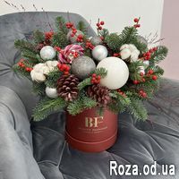 Северное сияние - Фото 1