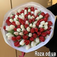 Взрыв эмоций - Фото 1