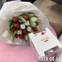 Єдина моя - Фото 1
