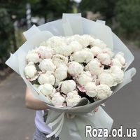 Букет из 35 белых пионов - Фото 1
