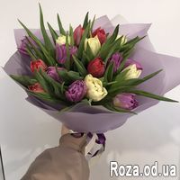 Тюльпаны поштучно - Фото 1