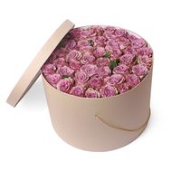 41 роза Мемори лейн к коробке