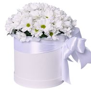 Хризантемы в коробке
