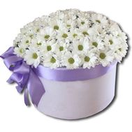 Букет ромашек в коробке