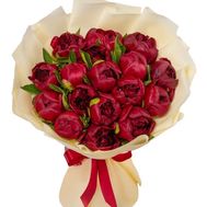 17 бордовых пионов
