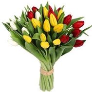 29 разноцветных тюльпанов