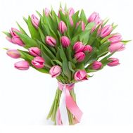 35 розовых тюльпанов