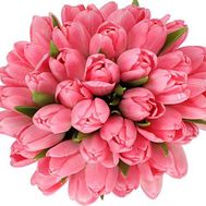 45 розовых тюльпанов