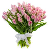 65 розовых тюльпанов