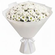 Букет из 13 хризантем