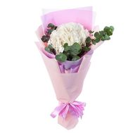 Букет белой гортензии