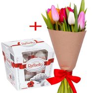 11 тюльпанов и Raffaello