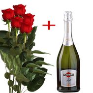 5 роз и Martini Asti