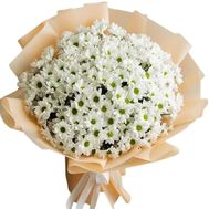 Букет из 21 ромашки