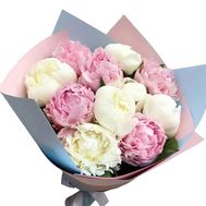 11 белых и розовых пионов