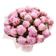 21 розовый пион