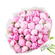25 розовых пионов