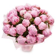 29 розовых пионов