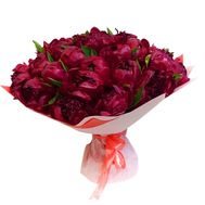 55 бордовых пионов