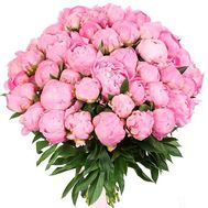 55 розовых пионов