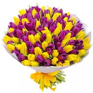 111 фиолетовых и желтых тюльпанов