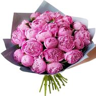 29 розовых пионов