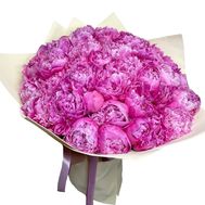 45 розовых пионов