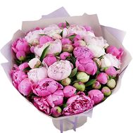 55 разноцветных пионов
