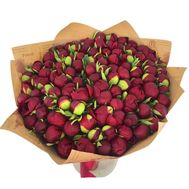 99 бордовых пионов