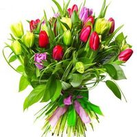 Bouquet of tulips - spring mood