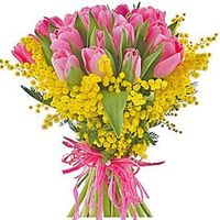 What flowers to give for Women's day