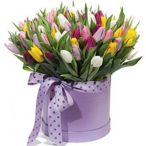 A bouquet of tulips in a box