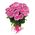 25 pink roses