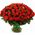 149 roses in El Toro