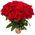 Bouquet of 31 red roses