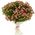 Bouquet of 51 bush roses