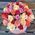 Roses in a Hat Box 2