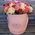 Roses in a Hat Box 1