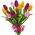 11 multi-colored tulips