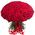 Bouquet of 201 red roses