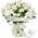 Bouquet of 35 white tulips