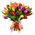 Bouquet of 55 multi-colored tulips