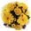 Bouquet of roses and gerberas