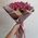 15 bush roses 1