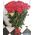 25 импортных роз 3