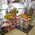 Large basket of fruit 1
