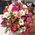 Flowers in a hat box 5