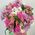 Flowers in a hat box 6