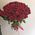 101 red rose 60 cm 2